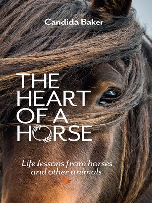 cover image of The Heart of a Horse